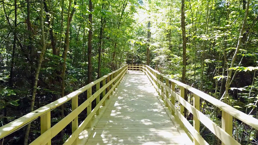 Introducing Pinegrove Campground’s Twin Pine Boardwalk